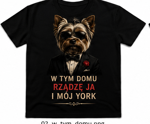 don York 2